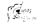 Linosphotovision naujas logo